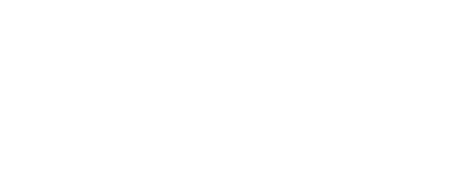 inen logo bl